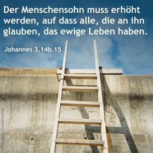 (25) Wochenspruch für Palmsonntag – 6. Sonntag der Passionszeit (Joh 3,14b.15)